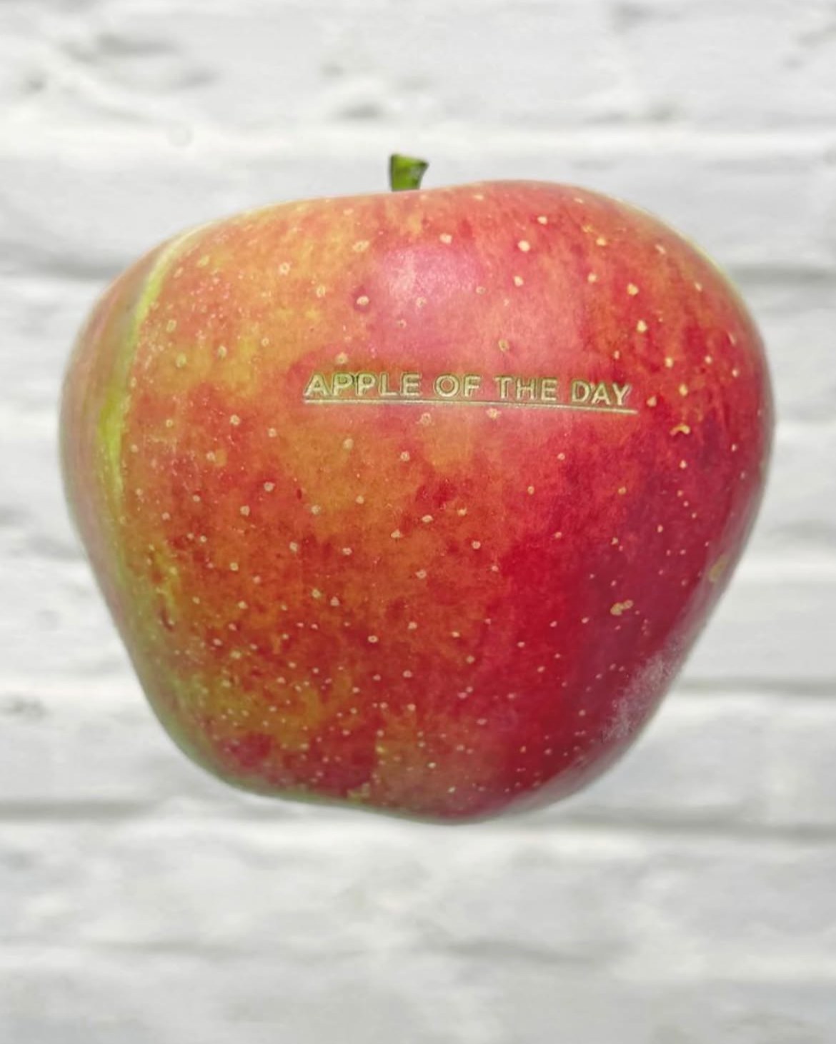 ‘Apple of the Day’가 새겨진 사과 초대장