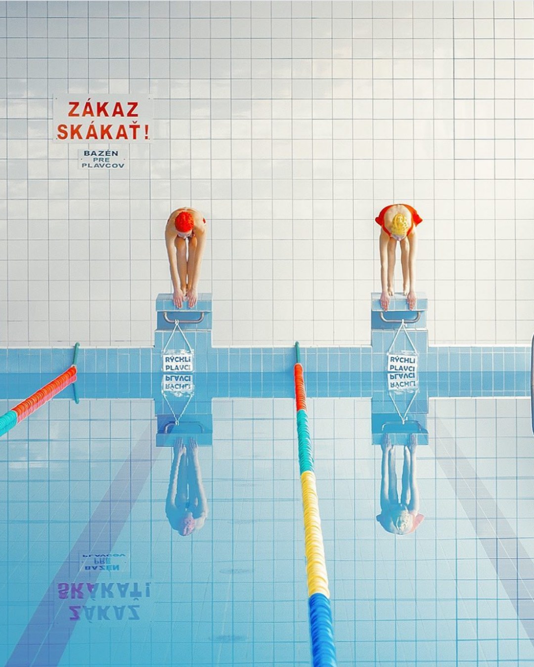Swimming Pool 연작
