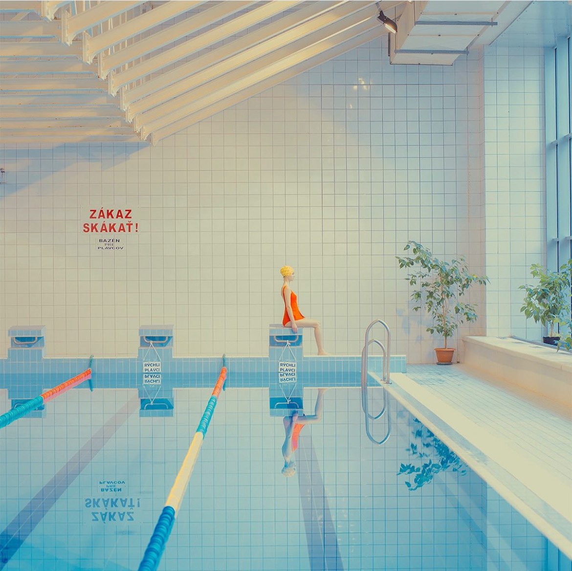 Swimming Pool 연작